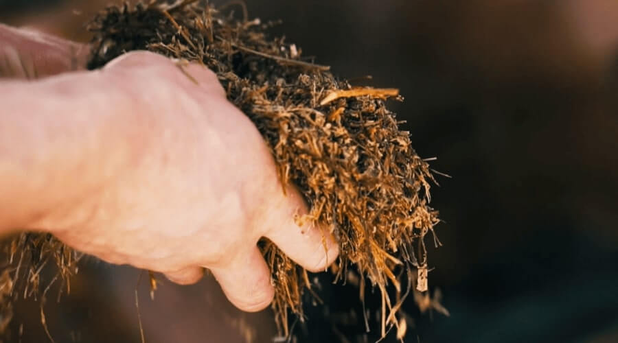 Hands-holding-feed